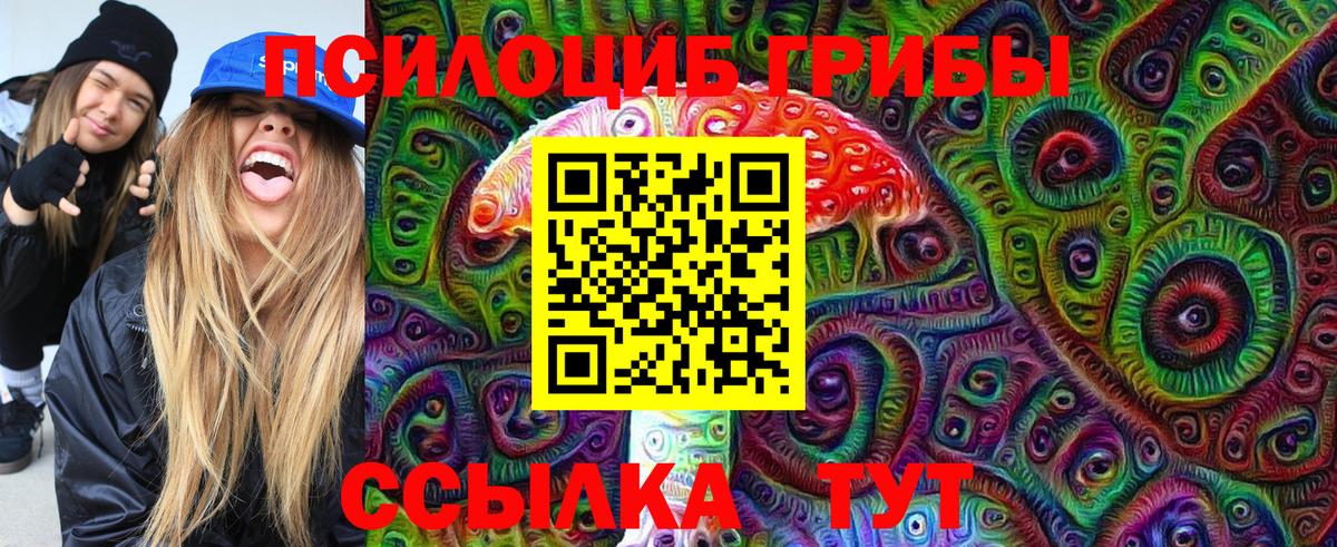 Тверь  магазин продажи наркотиков  Вход с VPN  Псилоцибиновые грибы прущие грибы  Псилоцибиновые грибы прущие грибы 